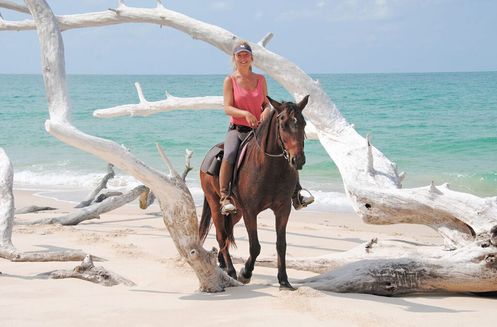 How to Plan a Game Safari in Rwanda with a Beach Holiday