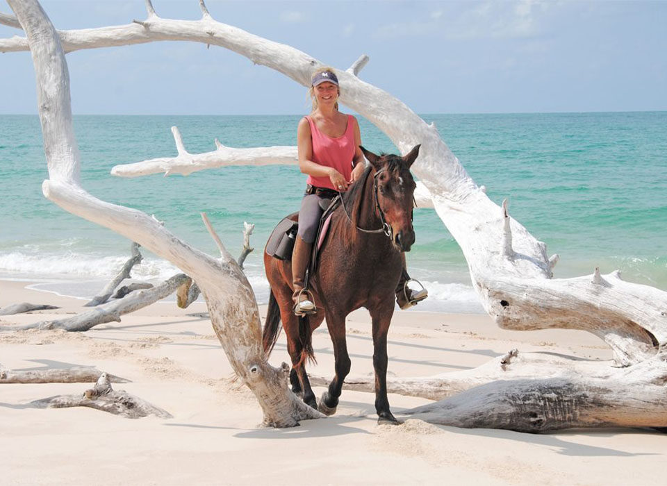 How to Plan a Game Safari in Rwanda with a Beach Holiday