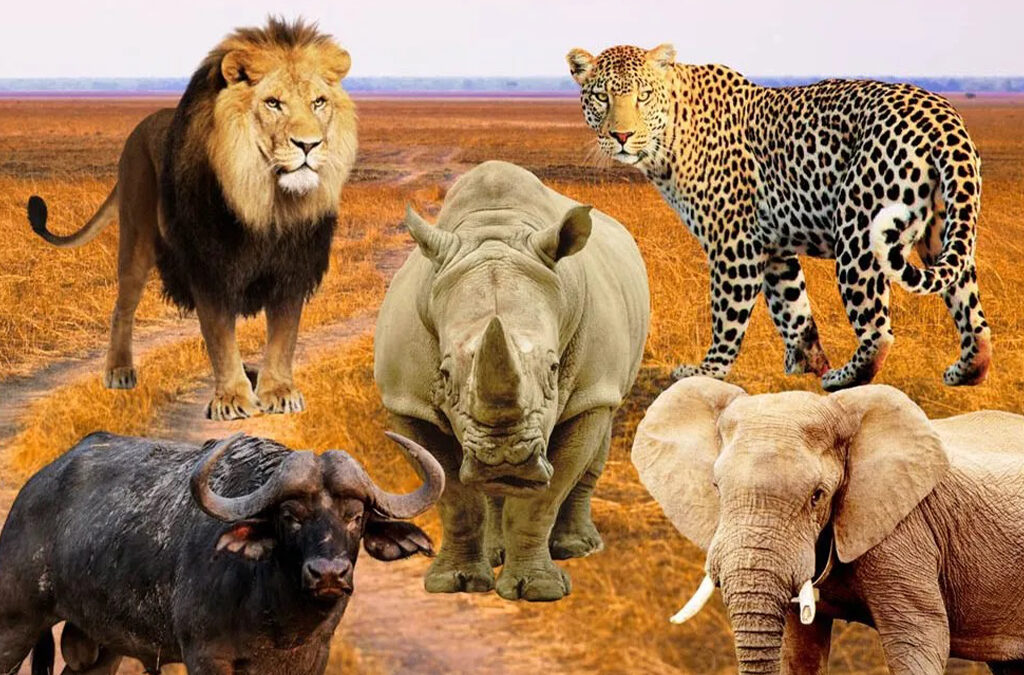 Big 5 Safaris in Uganda with Experiya Tour Company