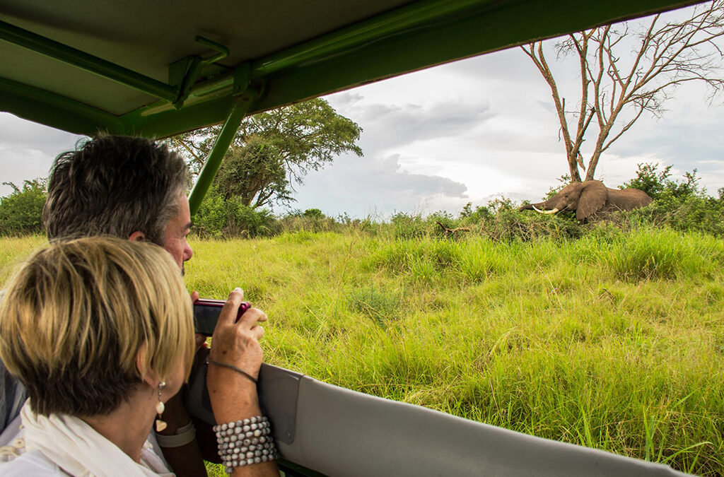 Is Kidepo Valley National Park Ideal for Big Five Safaris?