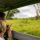 Is Kidepo Valley National Park Ideal for Big Five Safaris?