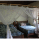 Budget Lodging Options Near Bwindi