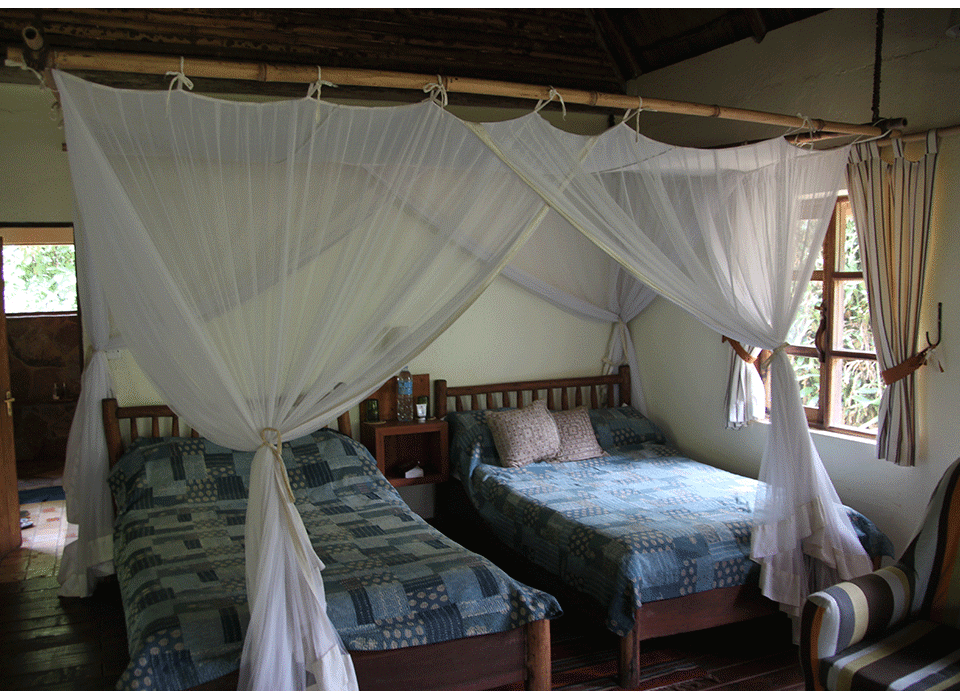 Best Safari Camps Uganda