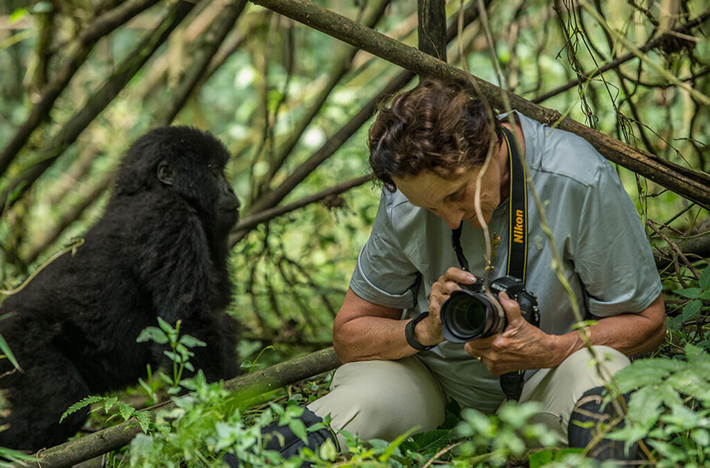 Why Most Visitors Prefer Bwindi Over Mgahinga for Gorilla Trekking