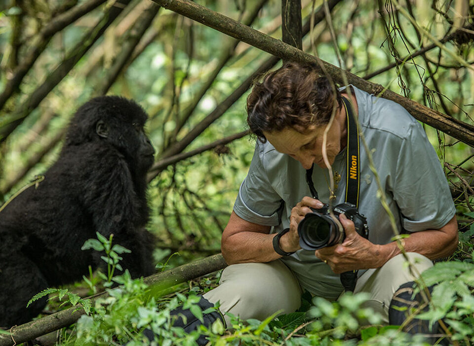 Why Most Visitors Prefer Bwindi Over Mgahinga for Gorilla Trekking