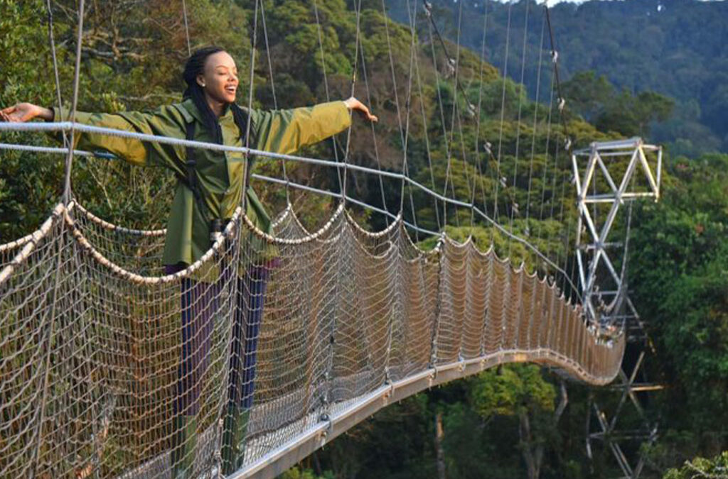 Top Spots for Wildlife Photography Safari in Rwanda