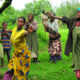 Village Walks and Community Visits in Uganda and Rwanda