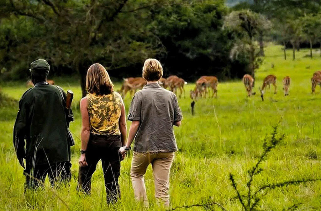 Why Travelers Choose Experiya Tour Company for Uganda and Rwanda Safaris