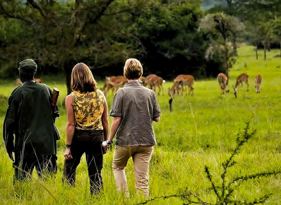 Why Travelers Choose Experiya Tour Company for Uganda and Rwanda Safaris