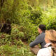 Is the Gorilla Habituation Experience Worth the $1,500?