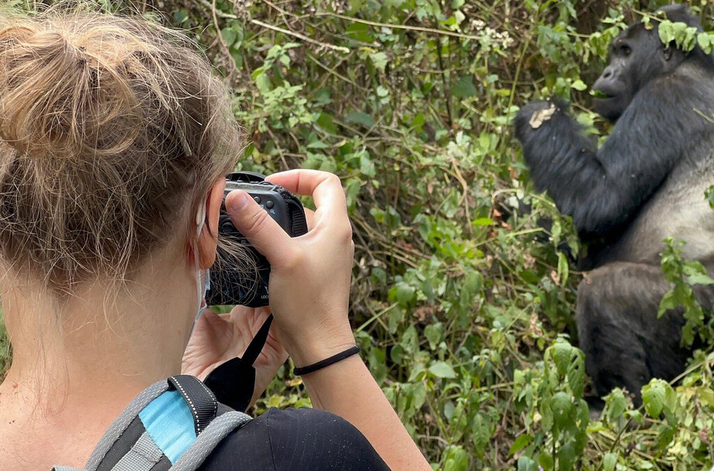 How to Plan an Elderly Gorilla Trekking Safari in Uganda and Rwanda