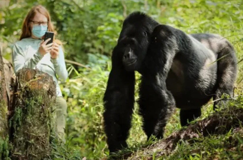 Exploring Rubuguri Village in Bwindi Impenetrable National Park