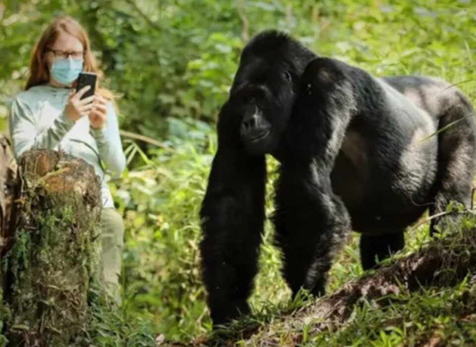 Exploring Rubuguri Village in Bwindi Impenetrable National Park