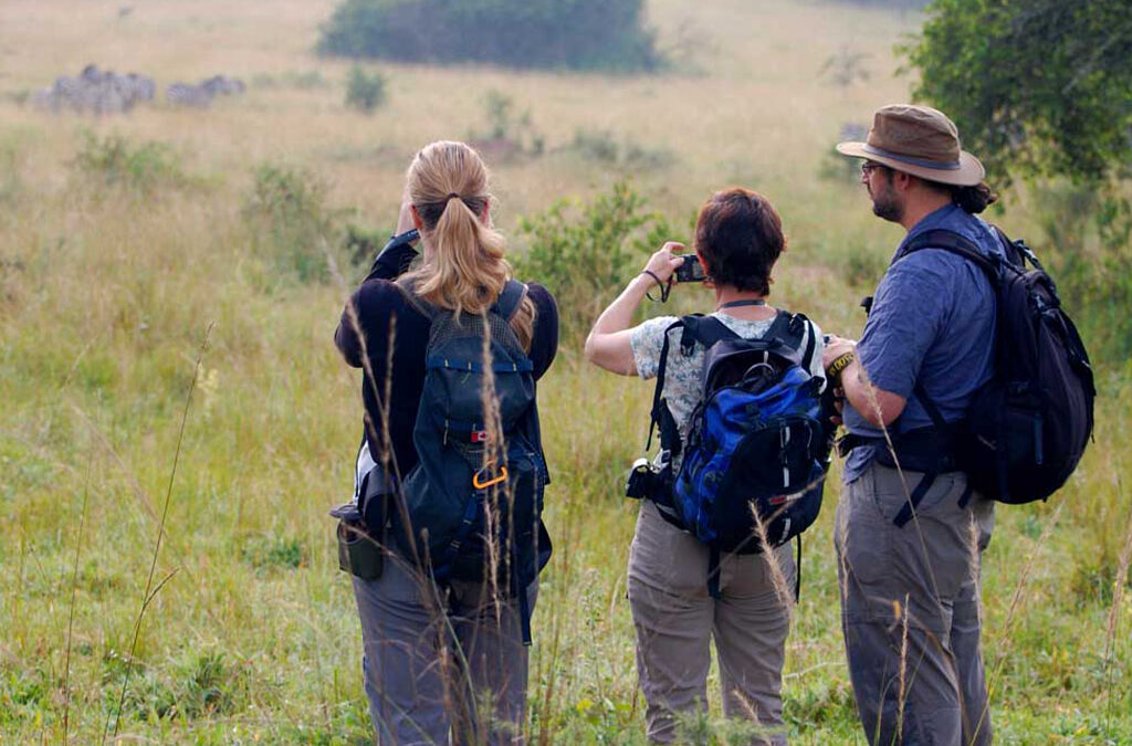 Why Lake Mburo Is the Best Place for Walking Safaris
