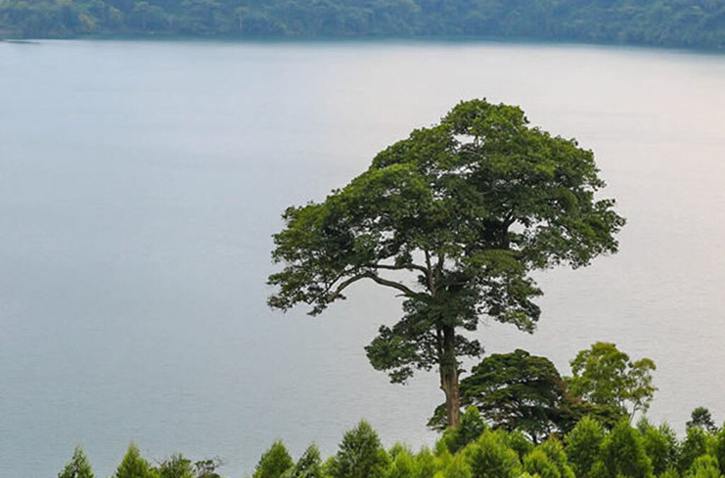What Are the Most Beautiful Lakes in Uganda?