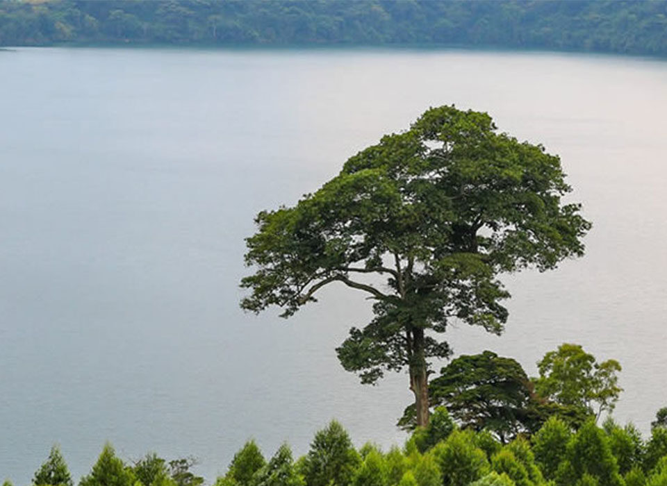 What Are the Most Beautiful Lakes in Uganda?