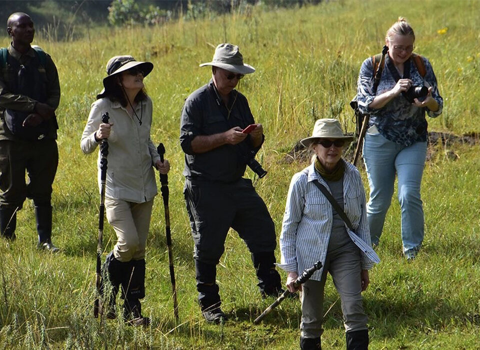 Do You Need Walking Sticks for Uganda Gorilla Trekking?