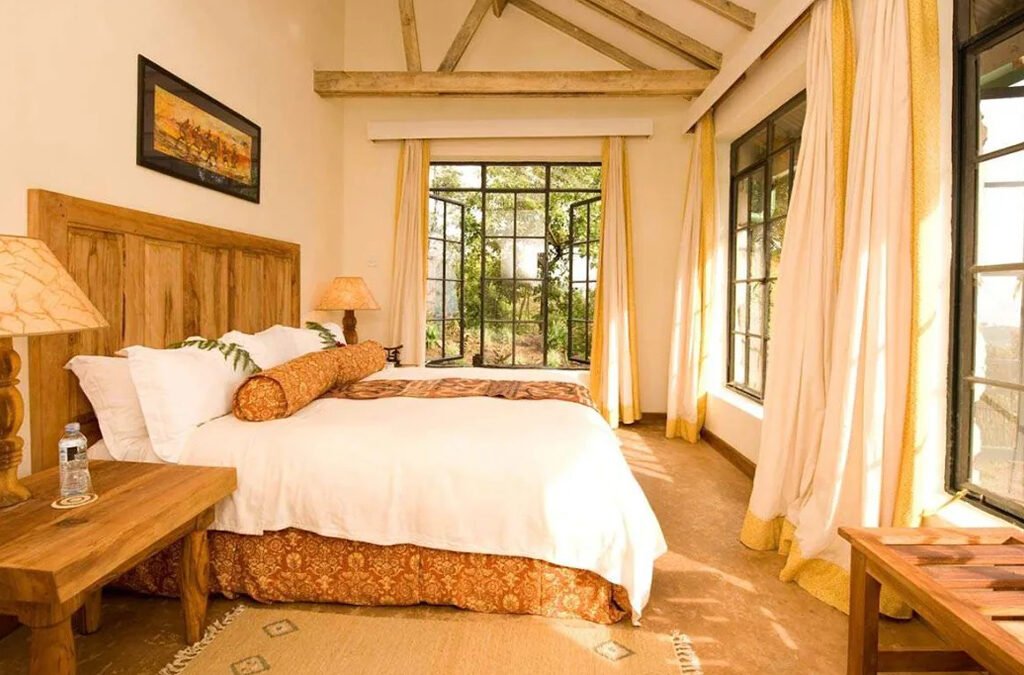Where to Stay During Gorilla Trekking in Uganda