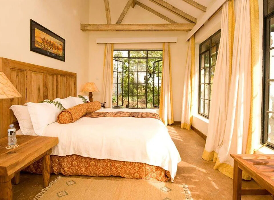 Where to Stay During Gorilla Trekking in Uganda