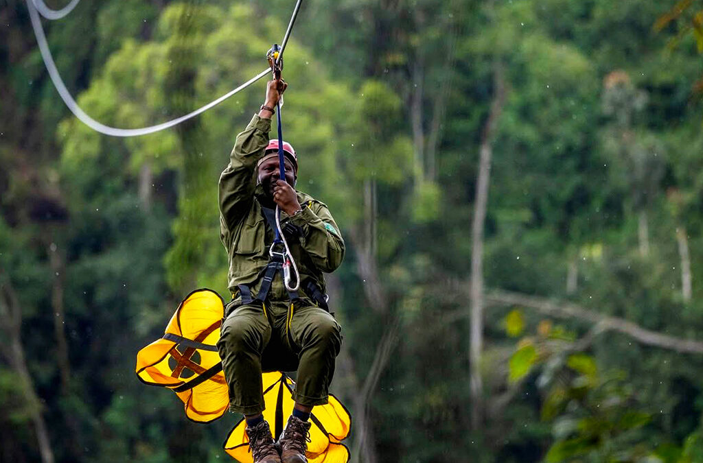 Zip Lining Through the Canopy in Nyungwe Forest
