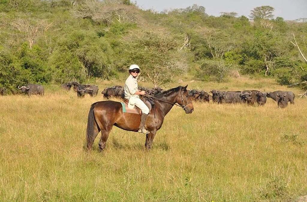 Are There Any Adventure Activities in Uganda?