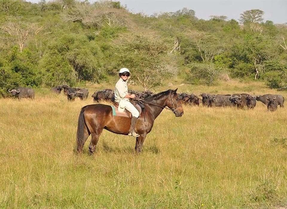 Are There Any Adventure Activities in Uganda?