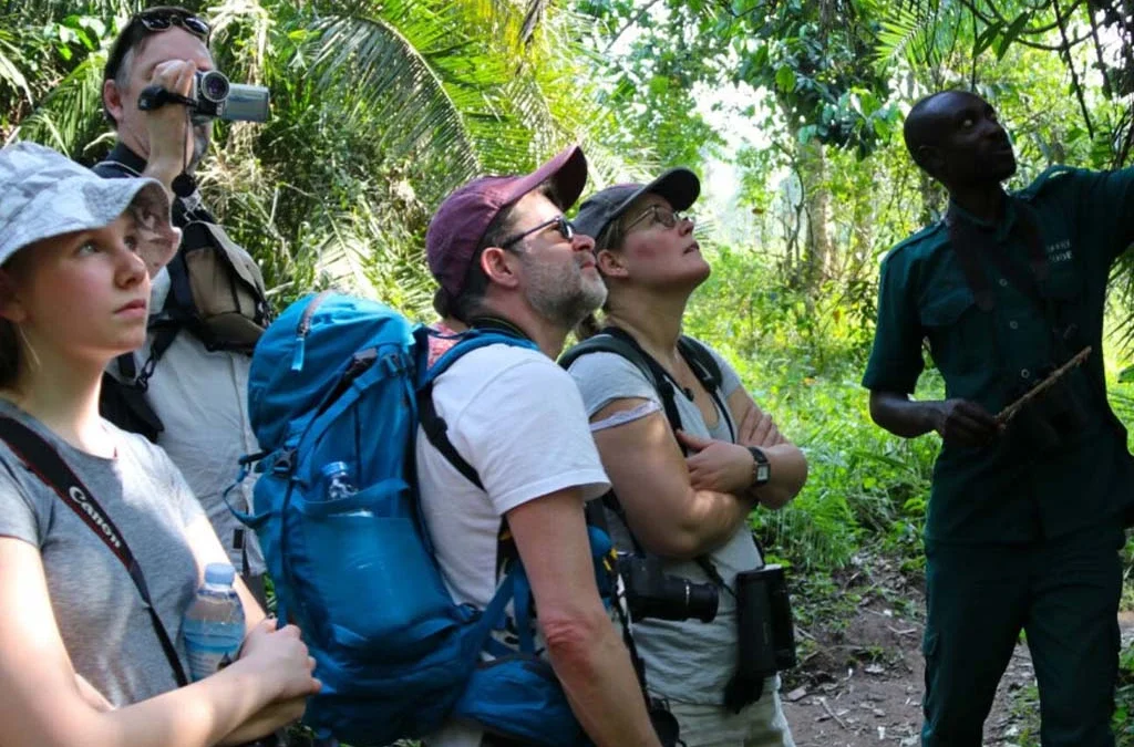 Explore Bigodi Wetland Sanctuary