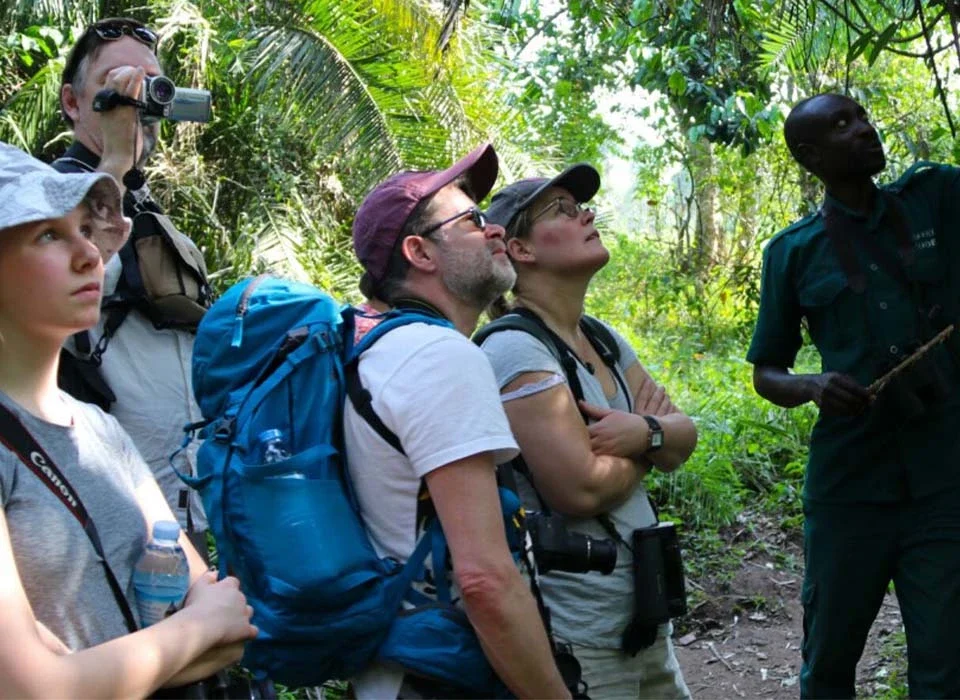 Explore Bigodi Wetland Sanctuary