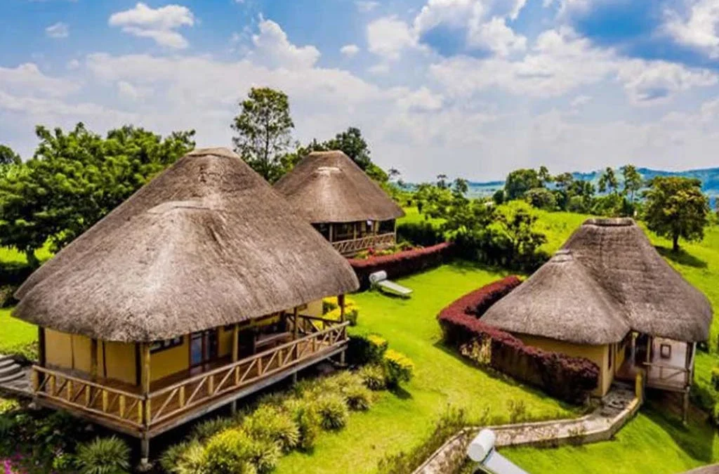 Top Lodges in Kibale Forest National Park