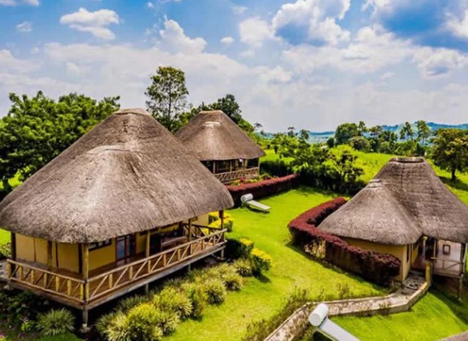 Top Lodges in Kibale Forest National Park