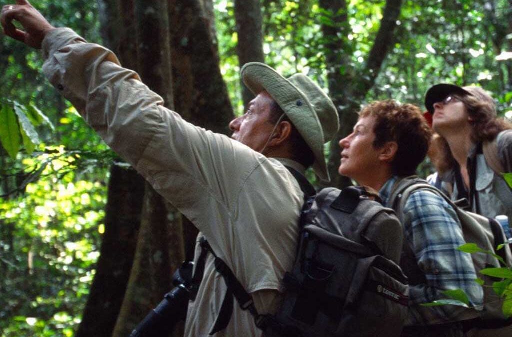 Top Things to Do in Budongo Forest