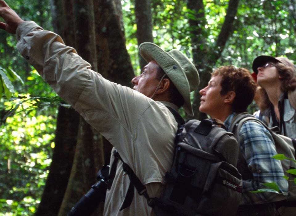 Top Things to Do in Budongo Forest