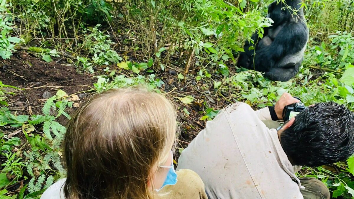 What Fitness Level Do You Need for Gorilla Trekking in Bwindi?