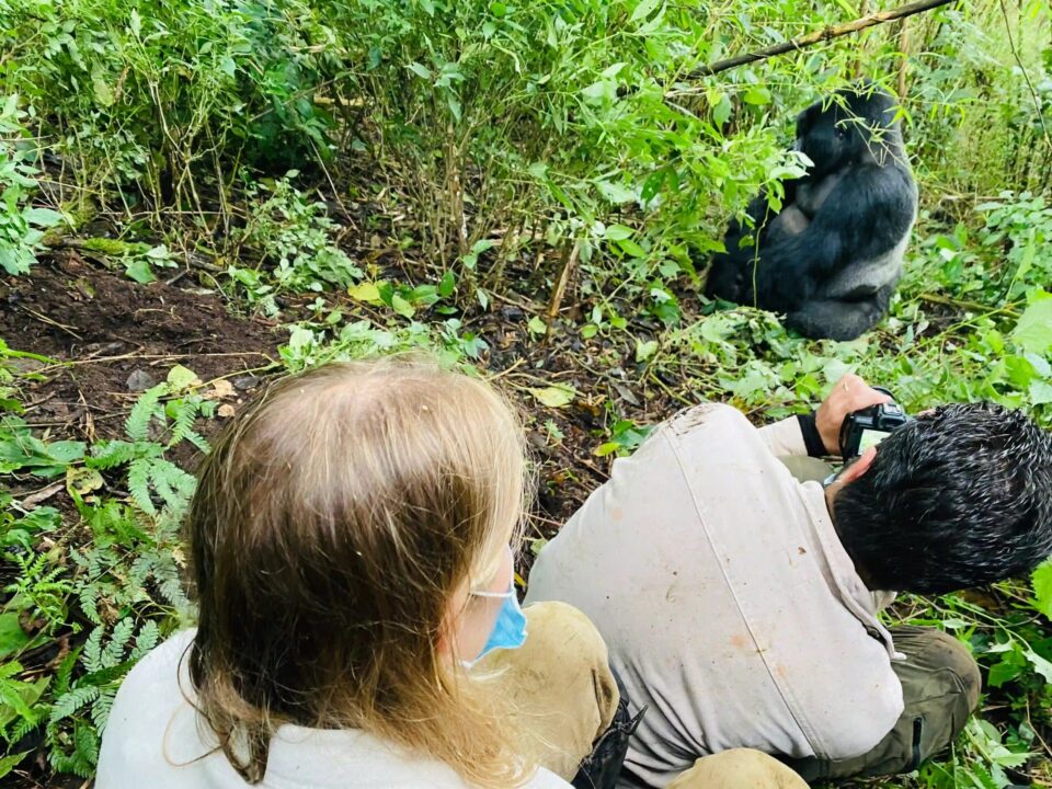 What Fitness Level Do You Need for Gorilla Trekking in Bwindi?