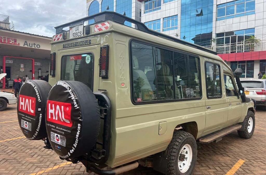 How to Choose a Uganda Safari Tour