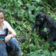 Is January a Good Month for Gorilla Trekking?