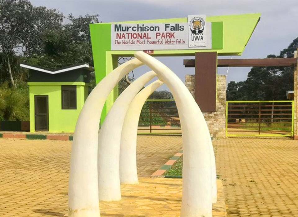 What Is Uganda’s Largest National Park?