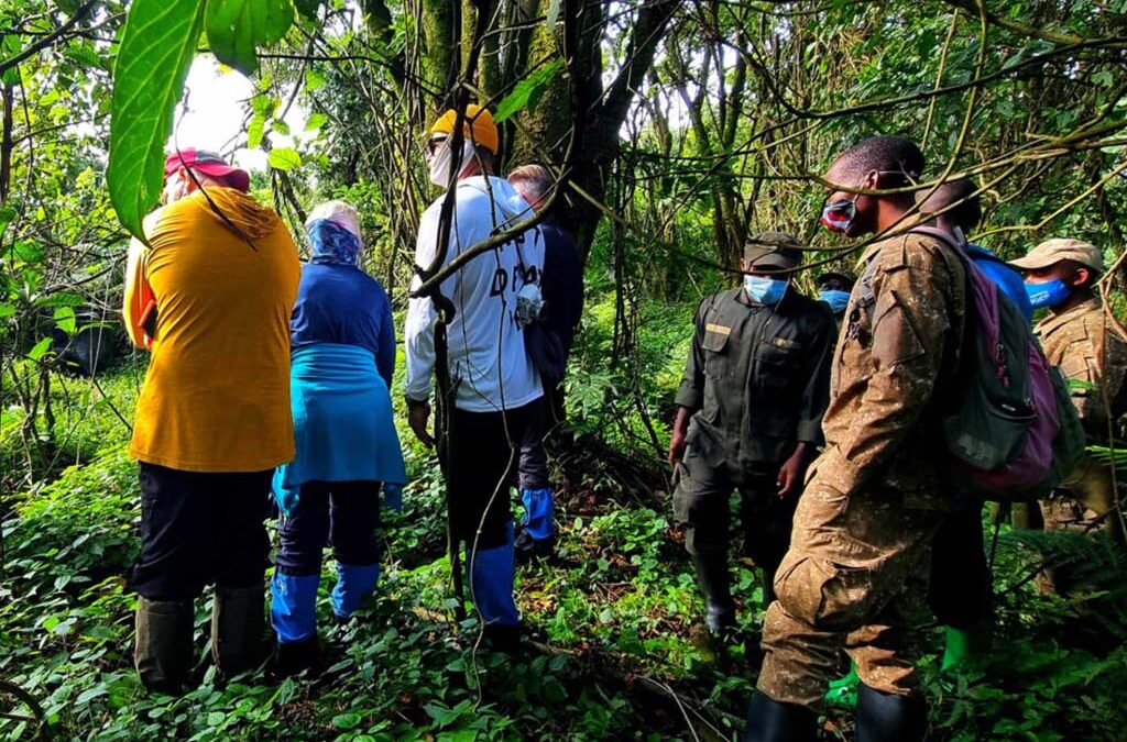Nature Walks in Akagera National Park