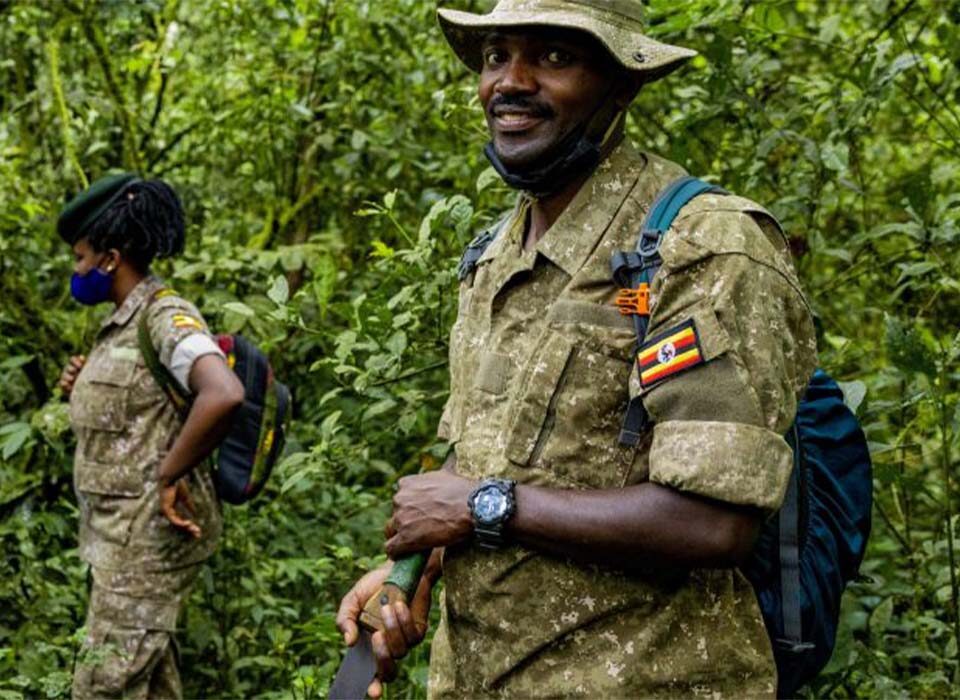 Role of Rangers in Bwindi Conservation