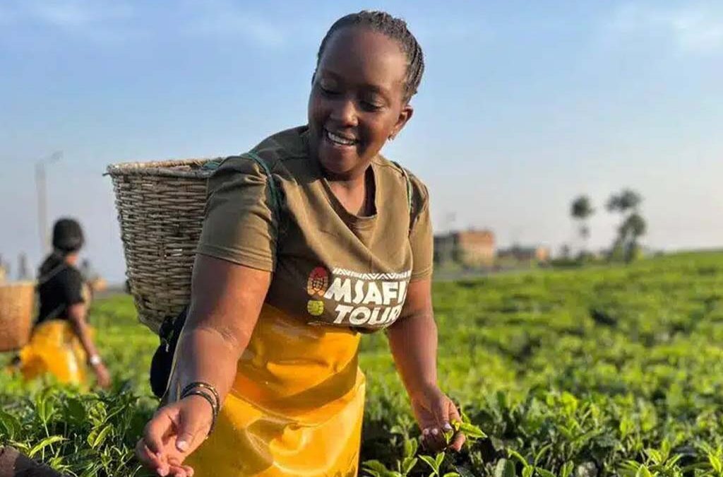 Tea Tour Experience in Uganda: A Journey Through the Heart of Green Highlands