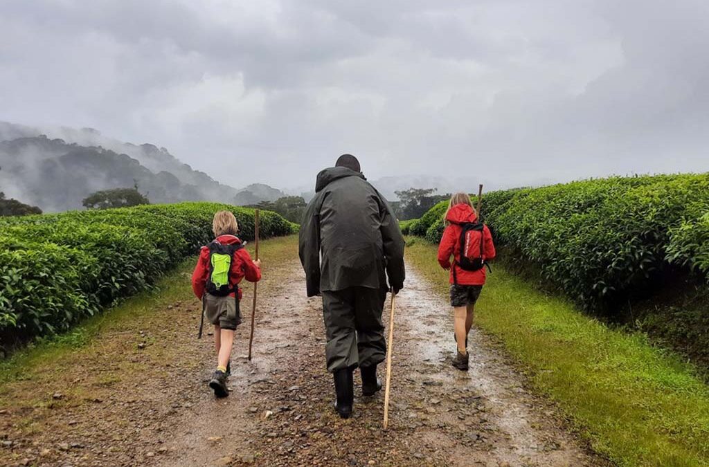 Is a Visit to Rwanda Safe with Children?