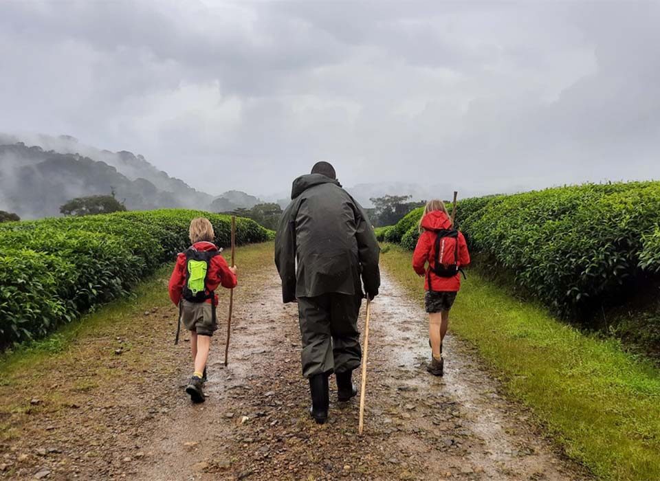 Is a Visit to Rwanda Safe with Children?