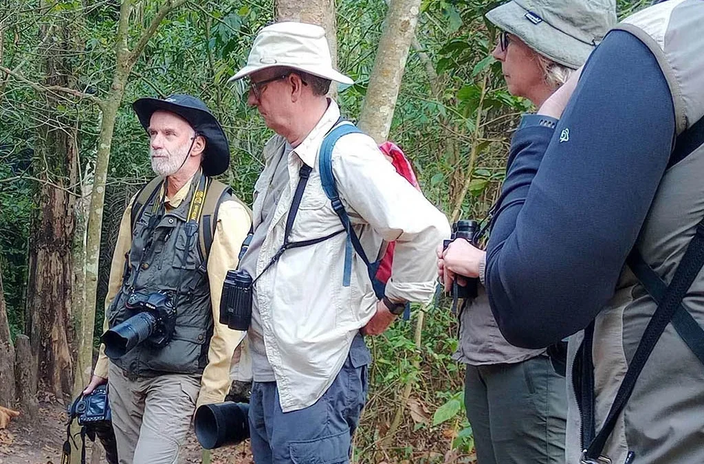 How to Prepare for a Birding Safari in Rwanda