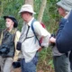How to Prepare for a Birding Safari in Rwanda