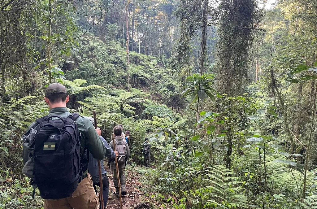 Is Bwindi impenetrable national park safe for tourist walks?