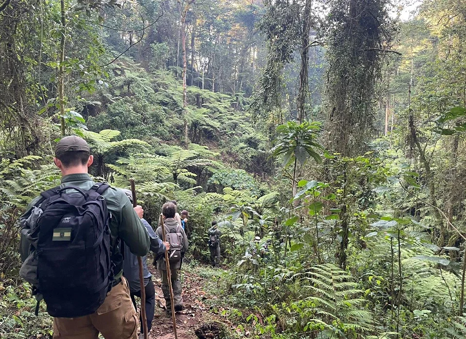 Is Bwindi impenetrable national park safe for tourist walks?