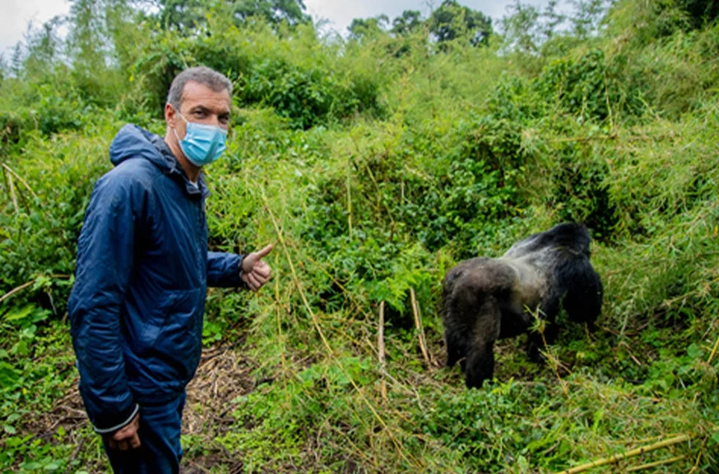Is It Safe to Travel Solo on a Rwanda Wildlife Safari?