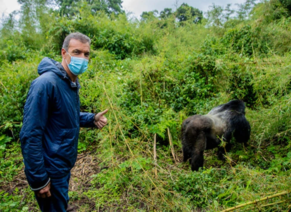 Is It Safe to Travel Solo on a Rwanda Wildlife Safari?