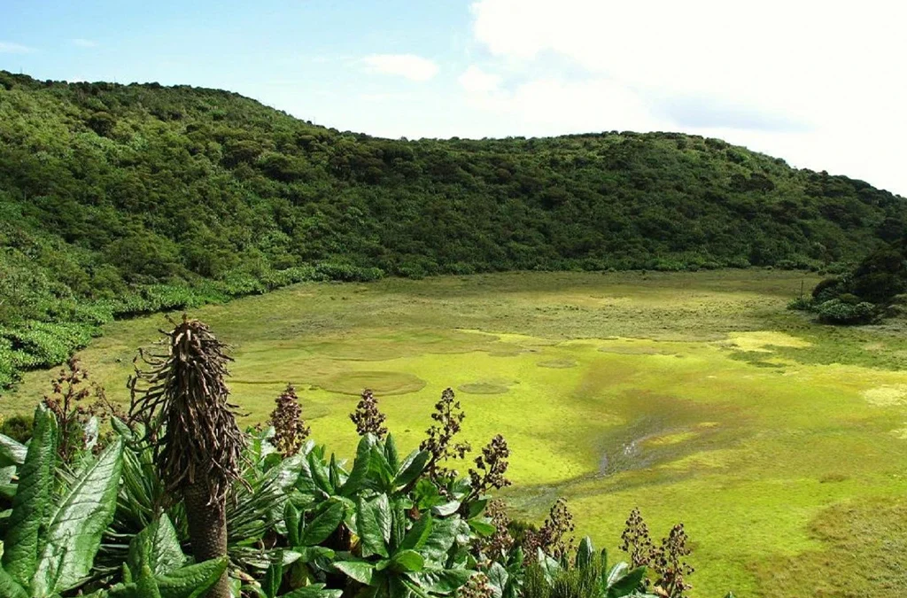 The Beauty of Mgahinga Mountains with aswamp on top