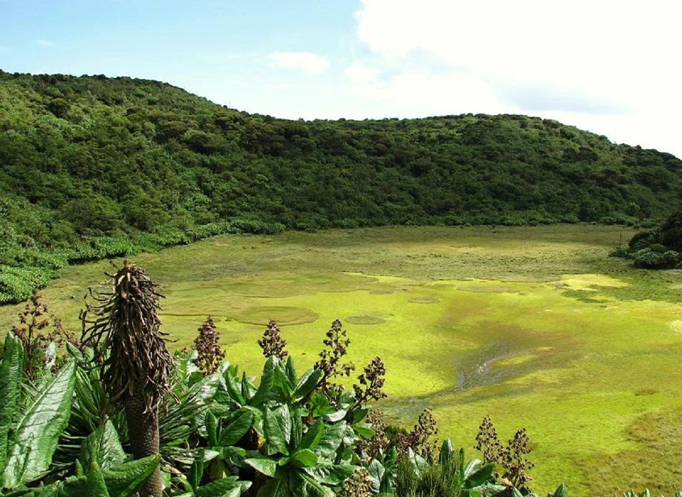 The Beauty of Mgahinga Mountains with aswamp on top